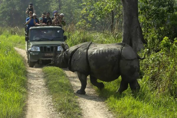 8 Days Nepal Tour Package