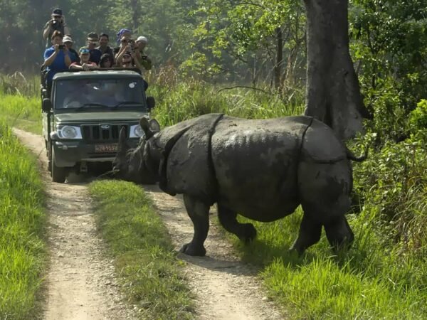 6 Days Chitwan Tour Package