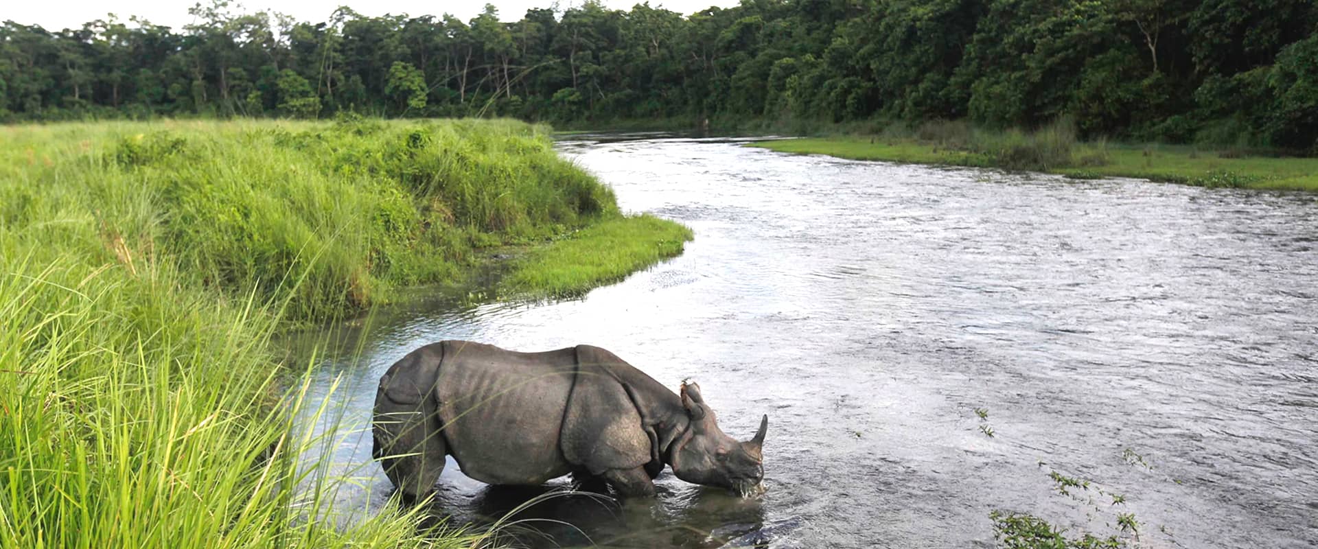 Chitwan